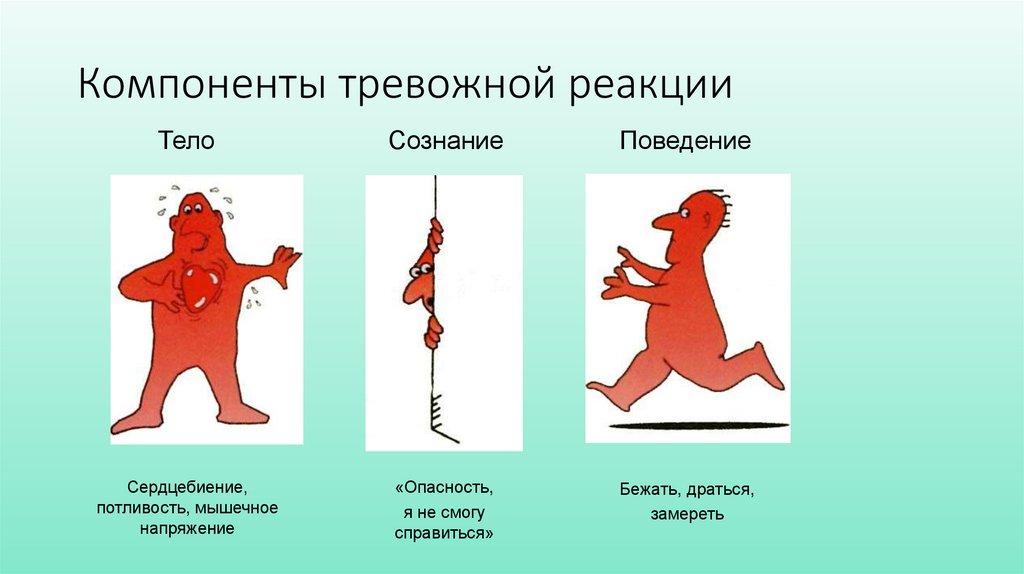 Компоненты тревожной реакции