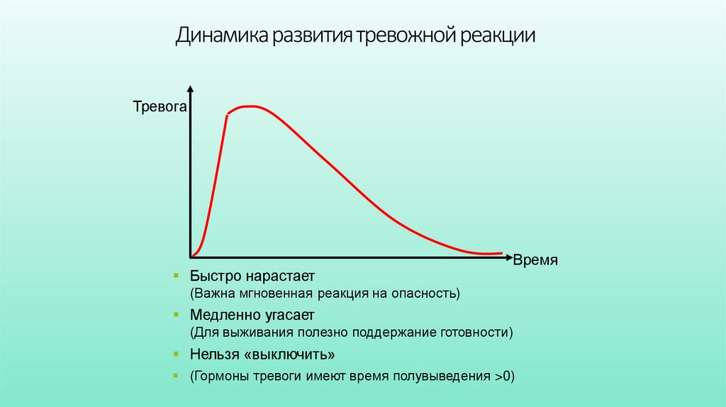 Динамика развития тревожной реакции