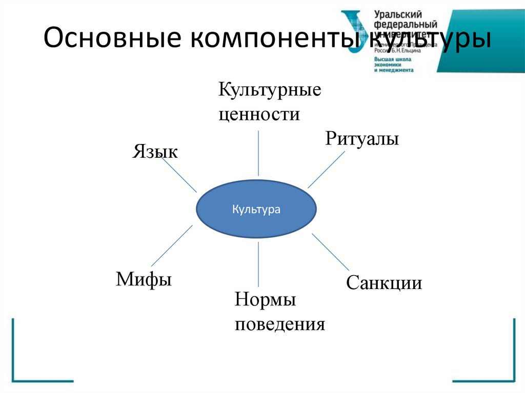 Основные компоненты культуры