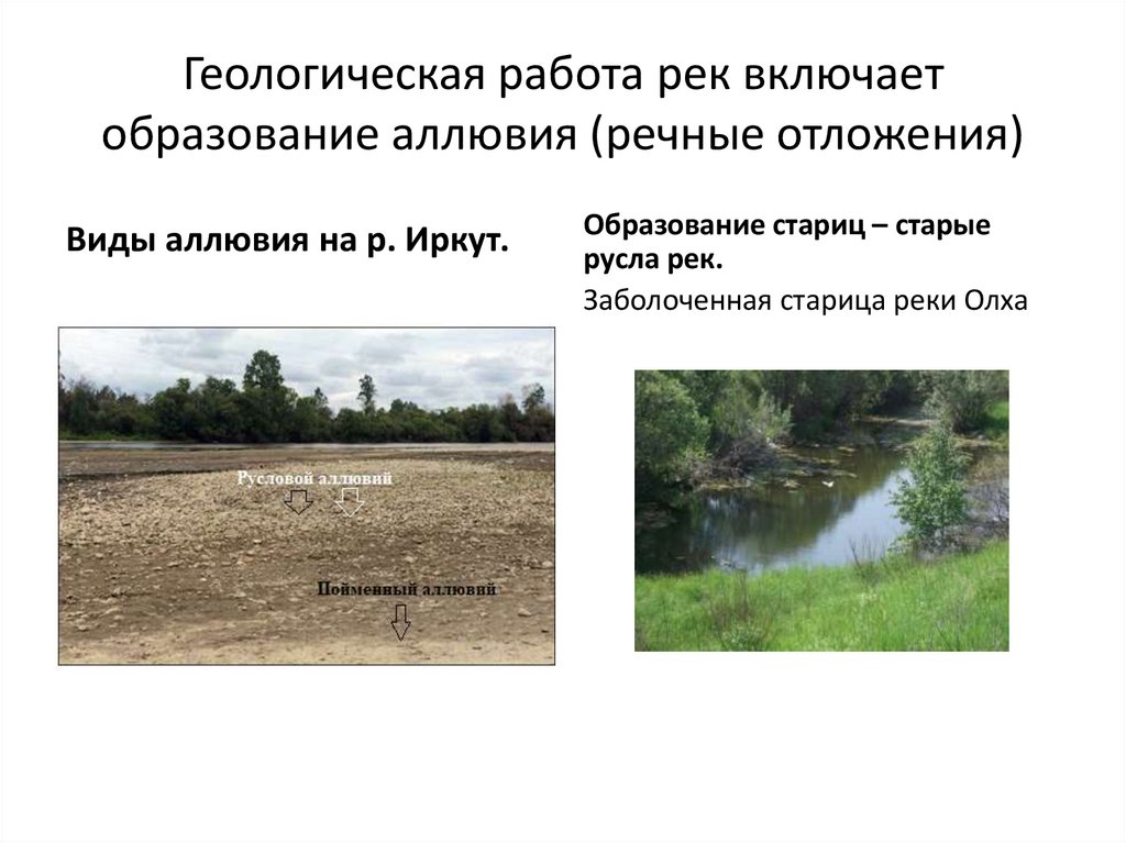 Геологическая работа рек включает образование аллювия (речные отложения)