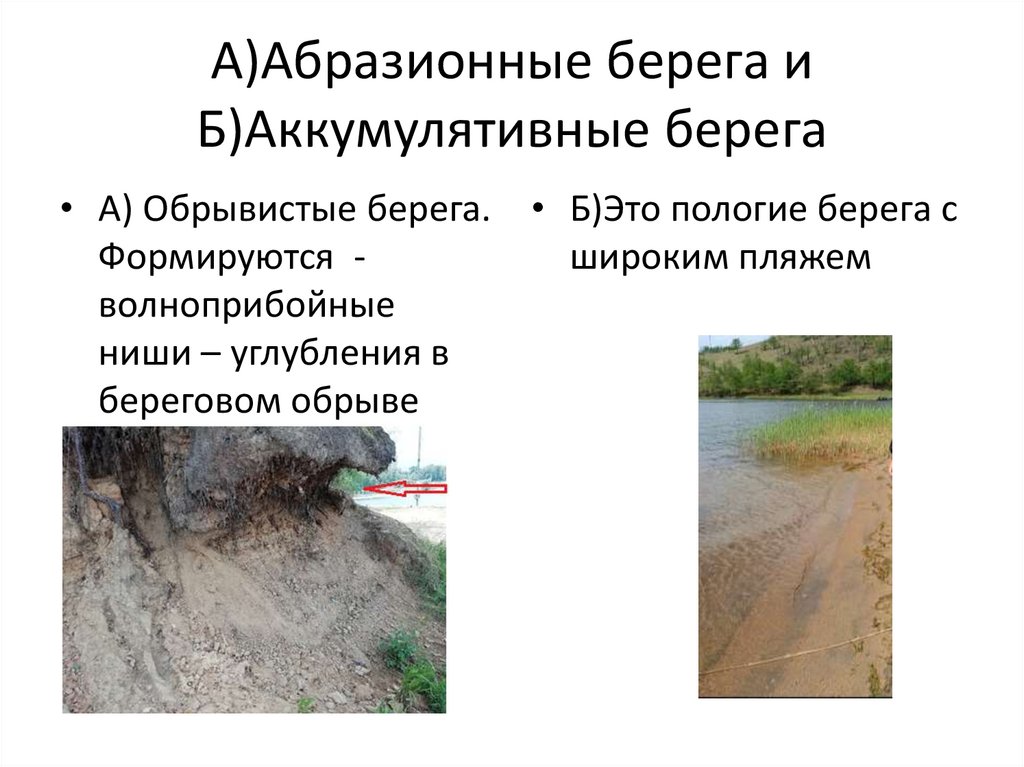 А)Абразионные берега и Б)Аккумулятивные берега