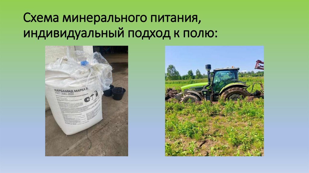 Схема минерального питания, индивидуальный подход к полю: