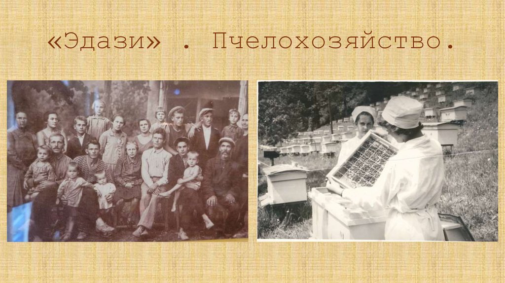«Эдази» . Пчелохозяйство.