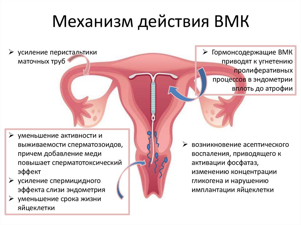 Механизм действия ВМК