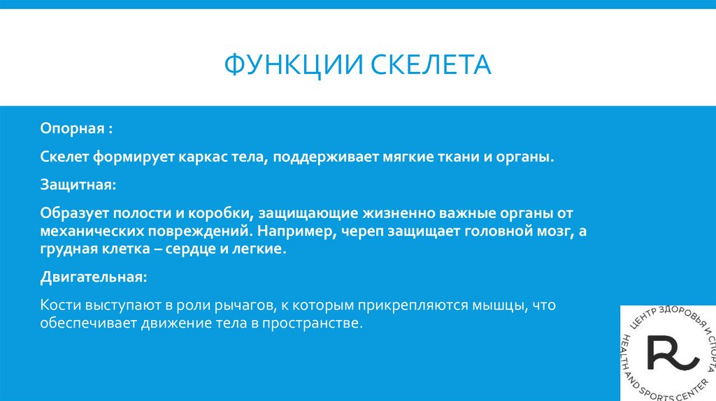 Функции Скелета