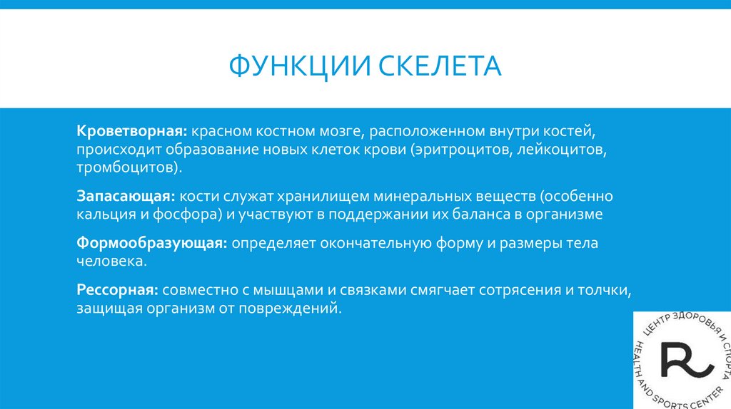 Функции Скелета