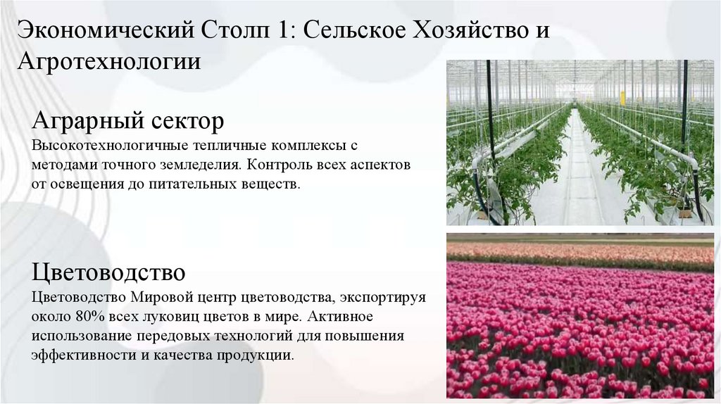 Экономический Столп 1: Сельское Хозяйство и Агротехнологии