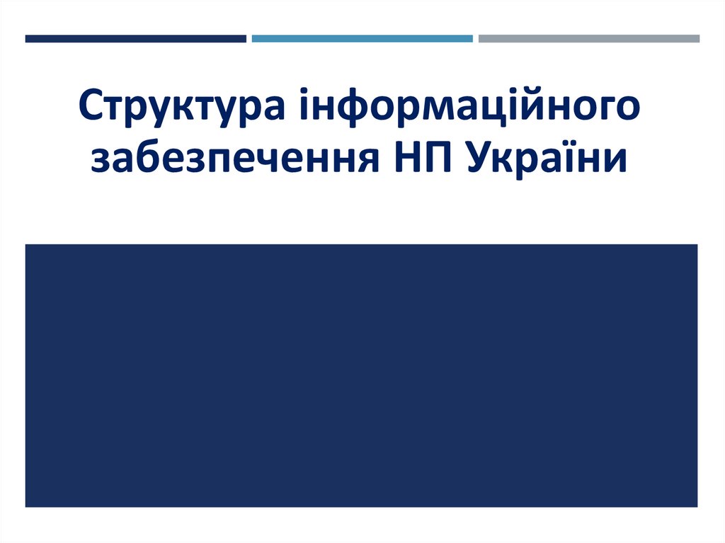 Структура інформаційного забезпечення НП України