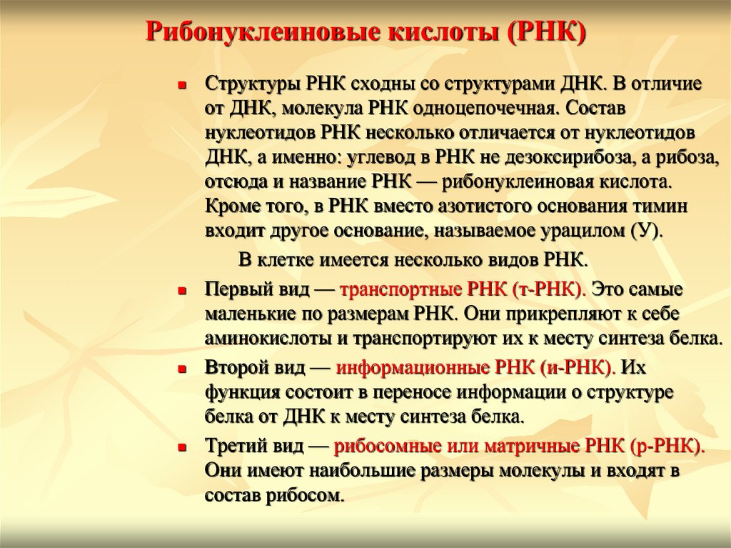 Рибонуклеиновые кислоты (РНК)