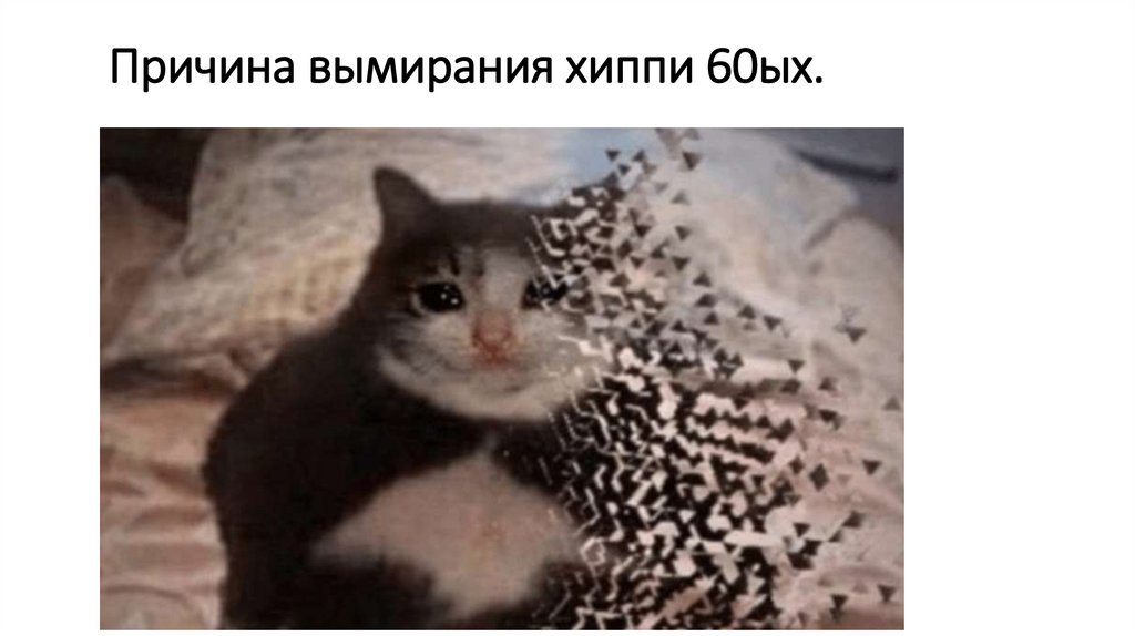 Причина вымирания хиппи 60ых.