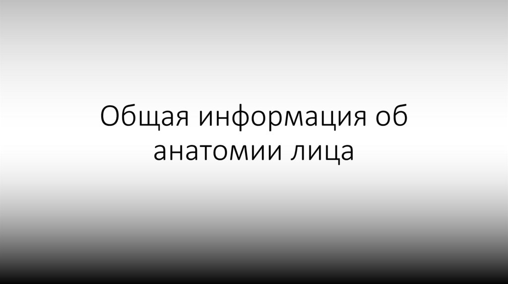Общая информация об анатомии лица