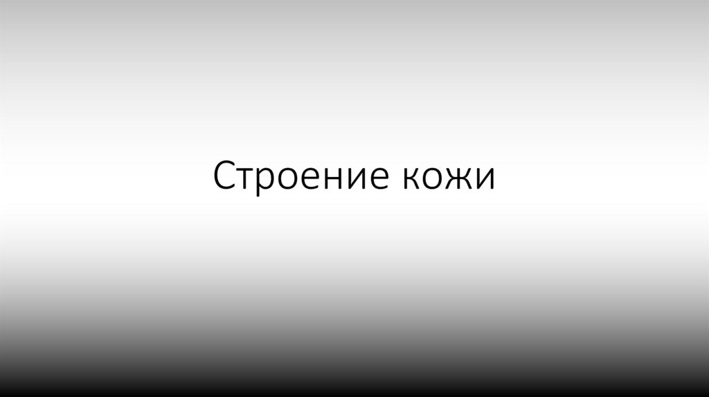 Строение кожи