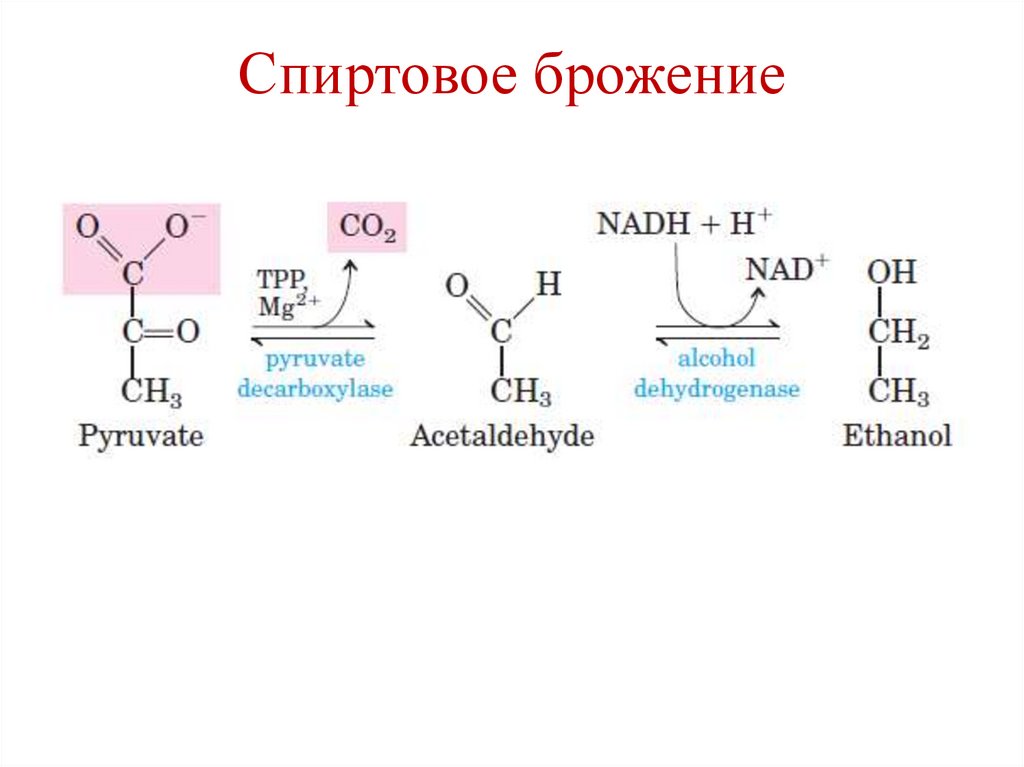 Схема аэробного гликолиза