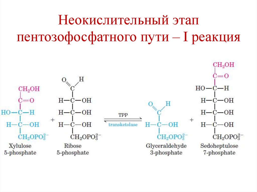 Особенности окисления глюкозы в эритроцитах