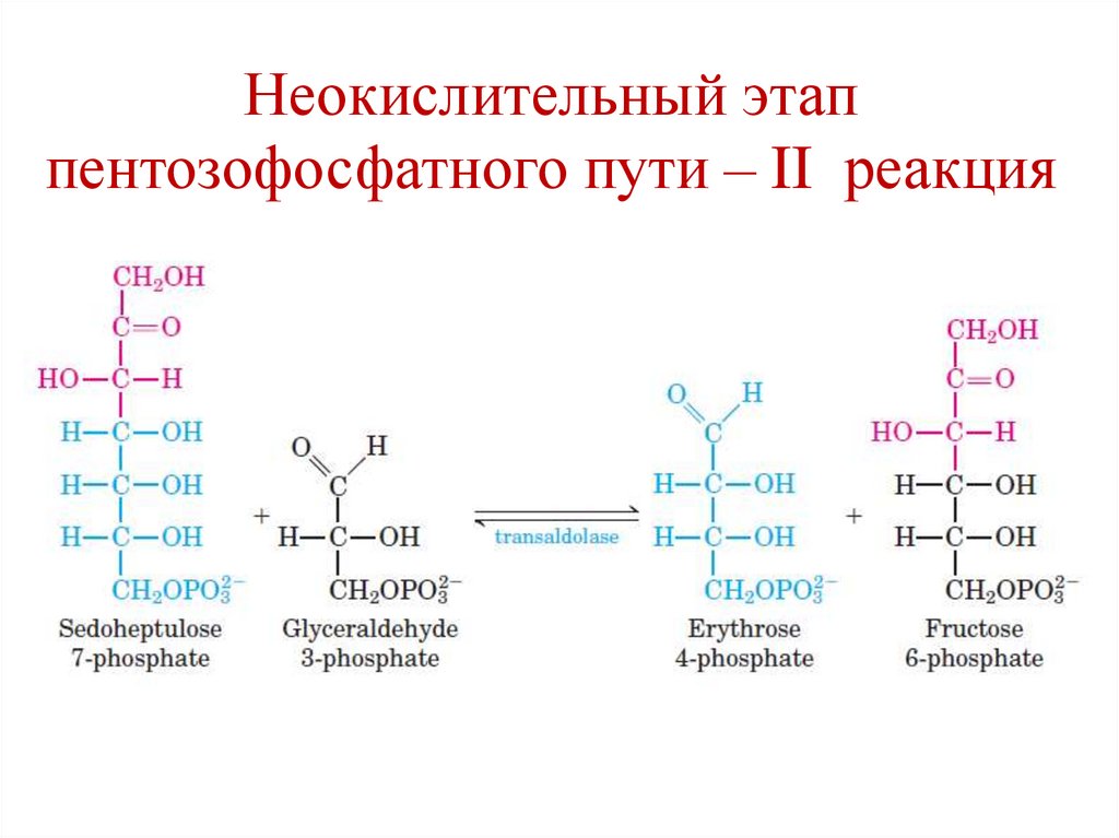 2,3-бисфосфоглицератный цикл