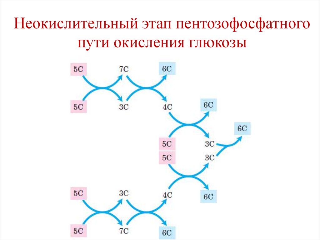 Наследственные дефекты ферментов гликолиза в эритроцитах, которые сопровождаются изменением [2,3-БФГ]