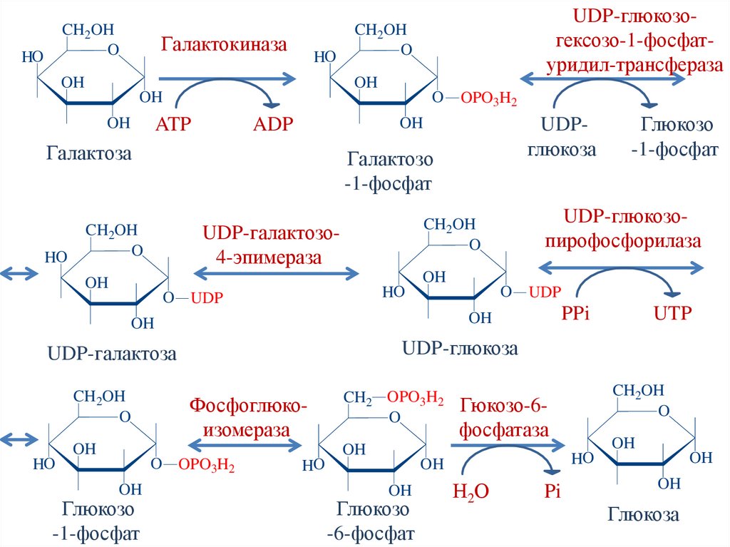Причины лактоацидоза
