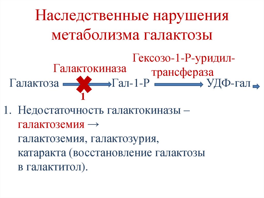 Регуляция гликолиза и глюконеогенеза