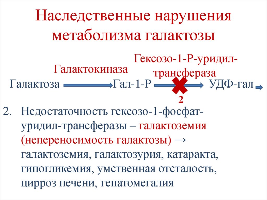 Регуляция гликолиза и глюконеогенеза