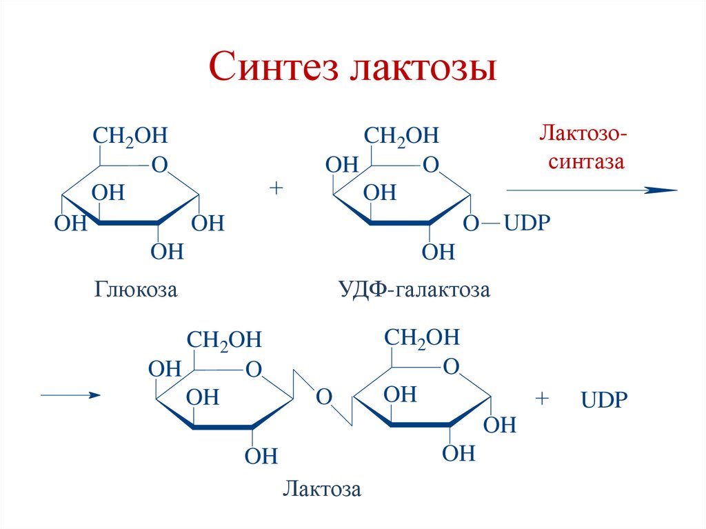 Регуляция гликолиза и глюконеогенеза