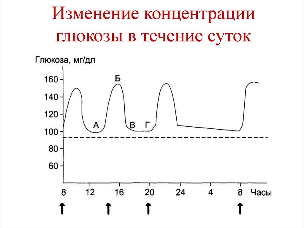 Пентозофосфатный путь окисления глюкозы