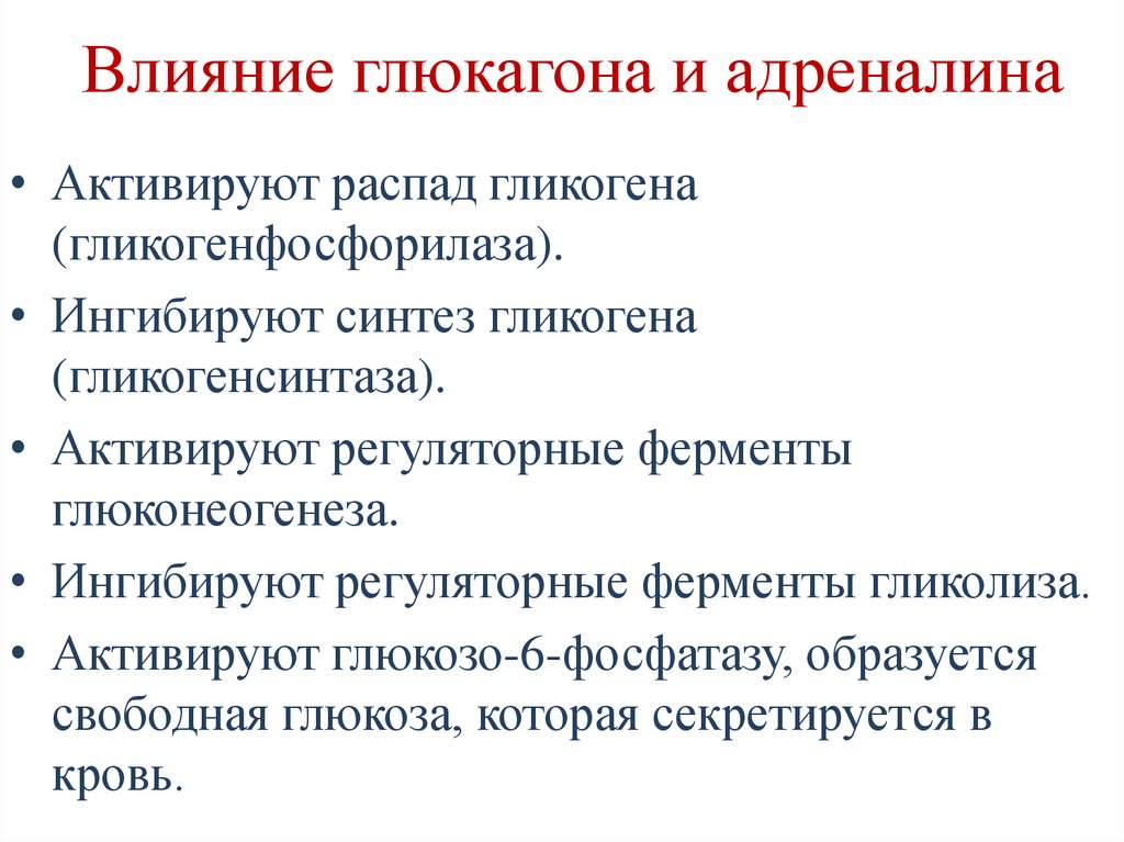Пентозофосфатный путь окисления глюкозы