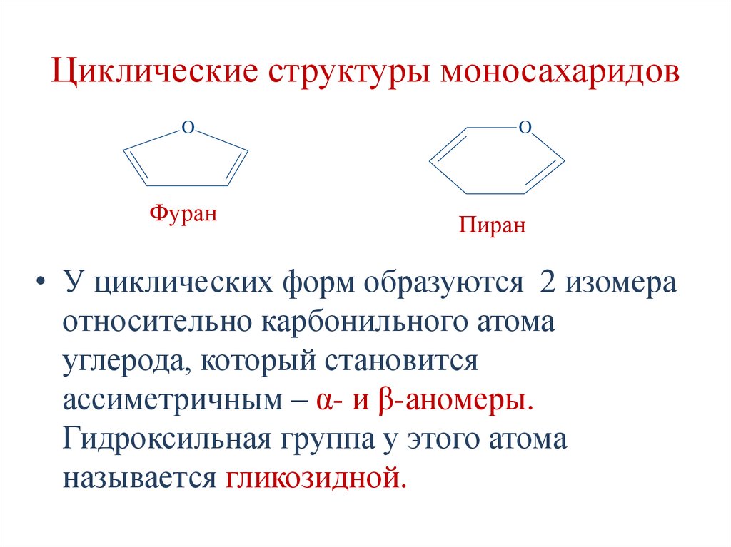 Циклические структуры моносахаридов