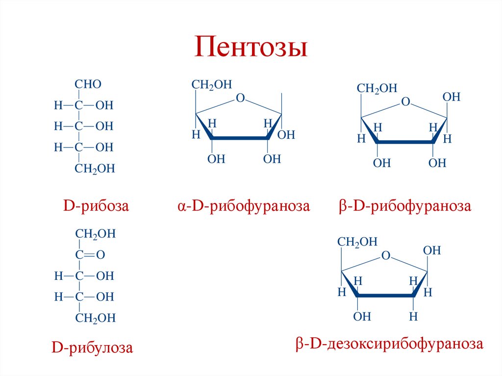 Пентозы