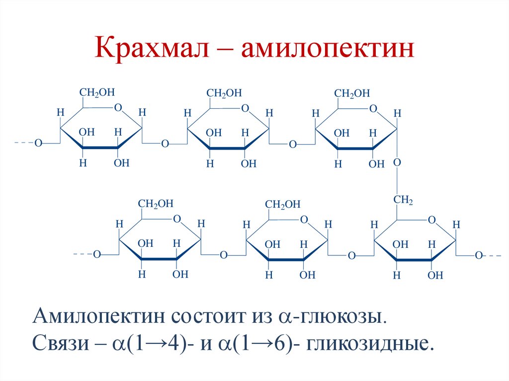 Крахмал – амилопектин