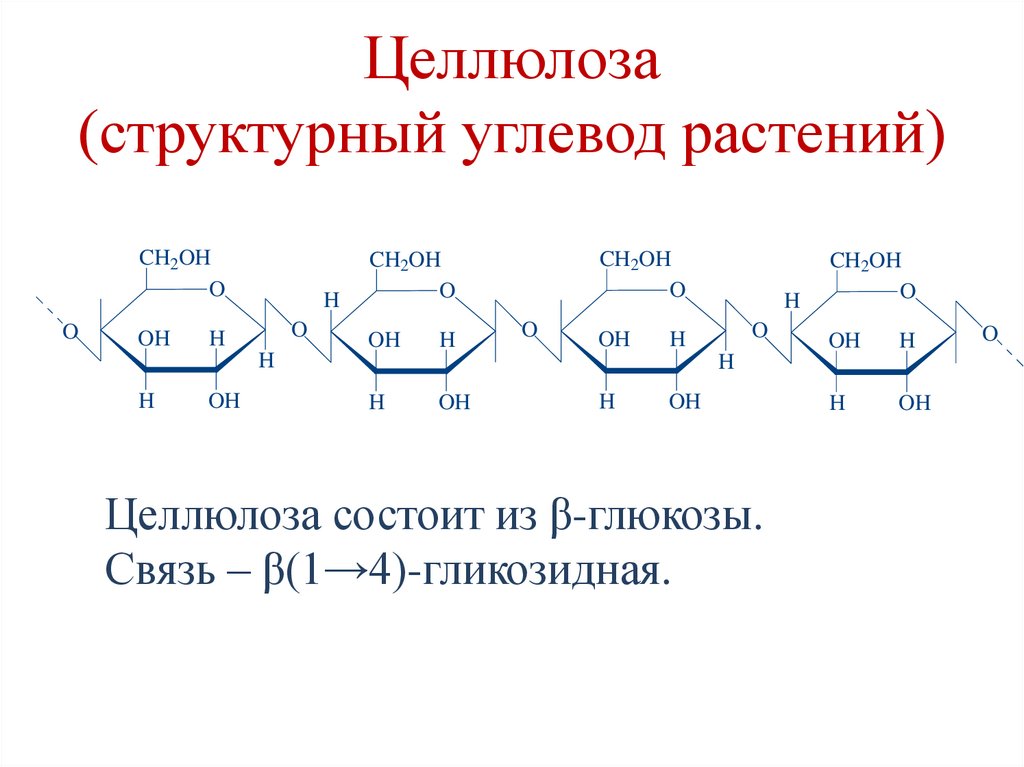 Целлюлоза (структурный углевод растений)