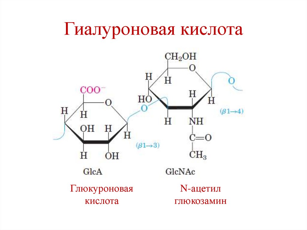 Гиалуроновая кислота