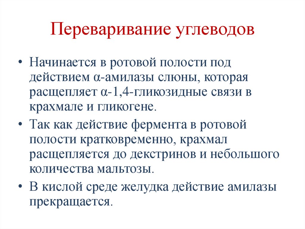 Переваривание углеводов