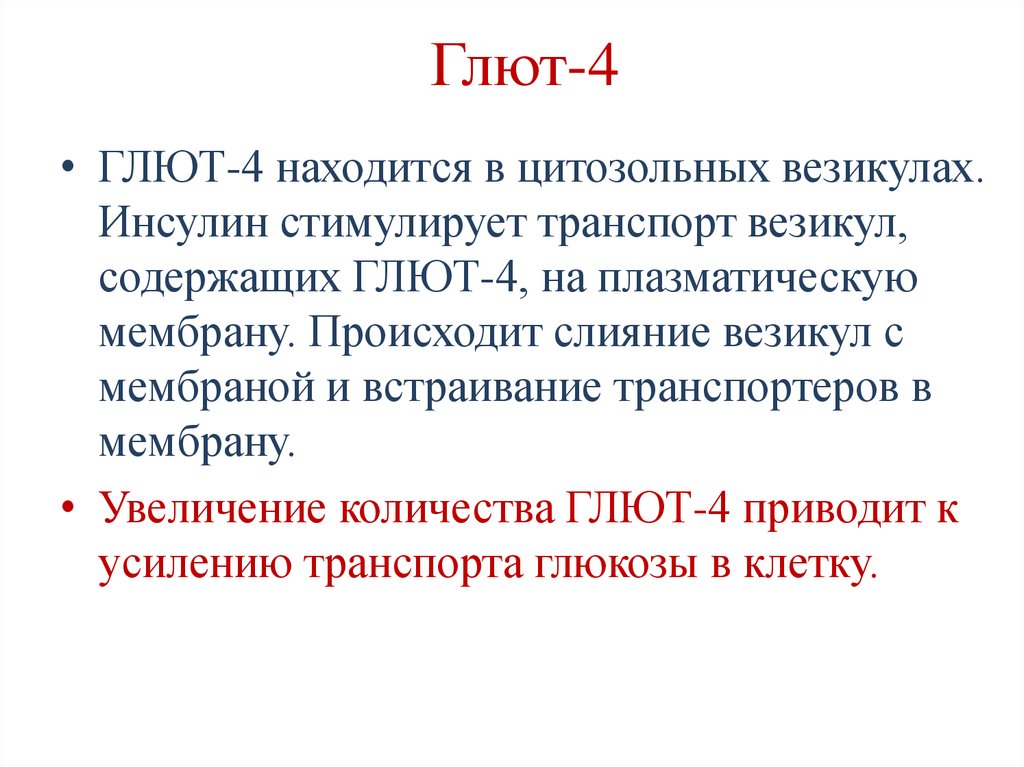 Глют-4