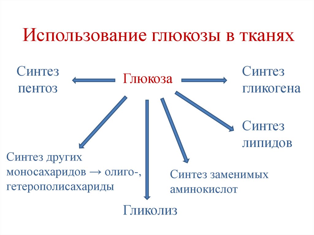 Использование глюкозы в тканях