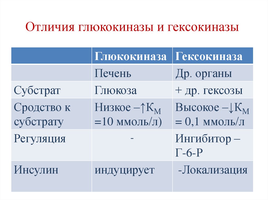 Отличия глюкокиназы и гексокиназы