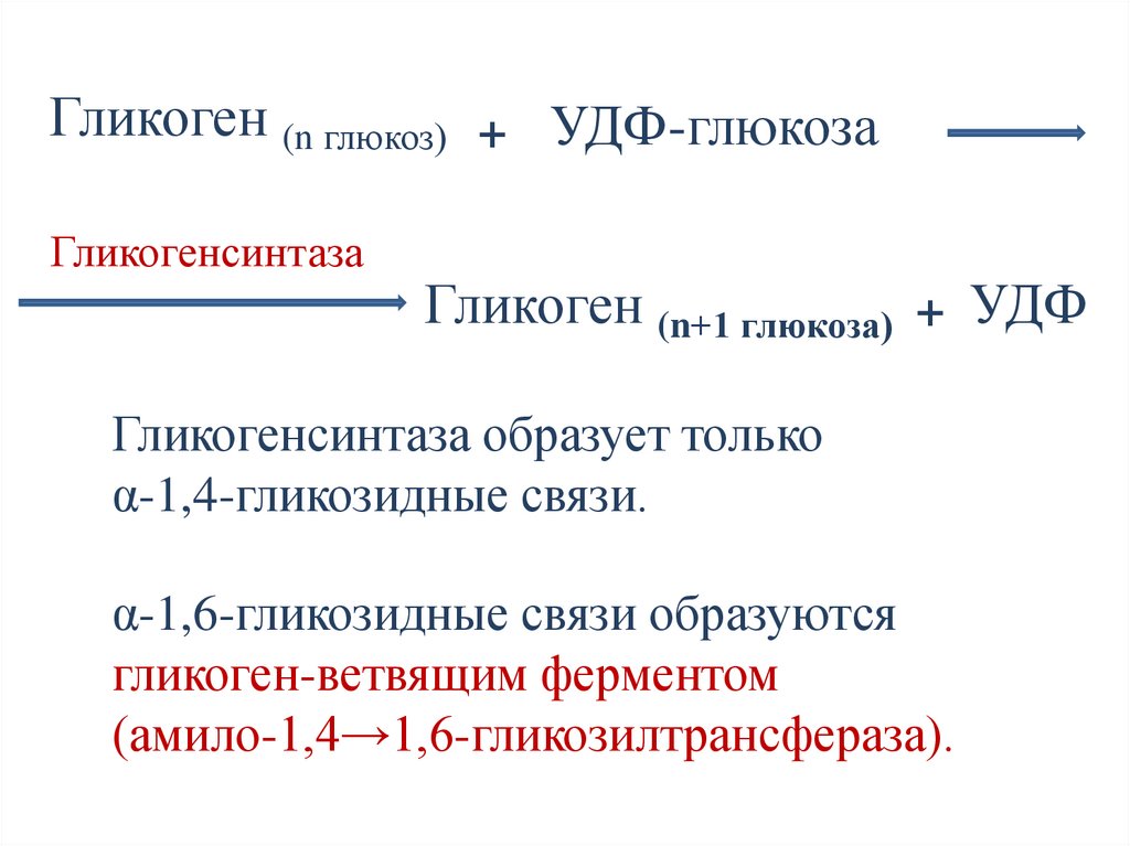 УДФ-глюкоза – активная форма глюкозы