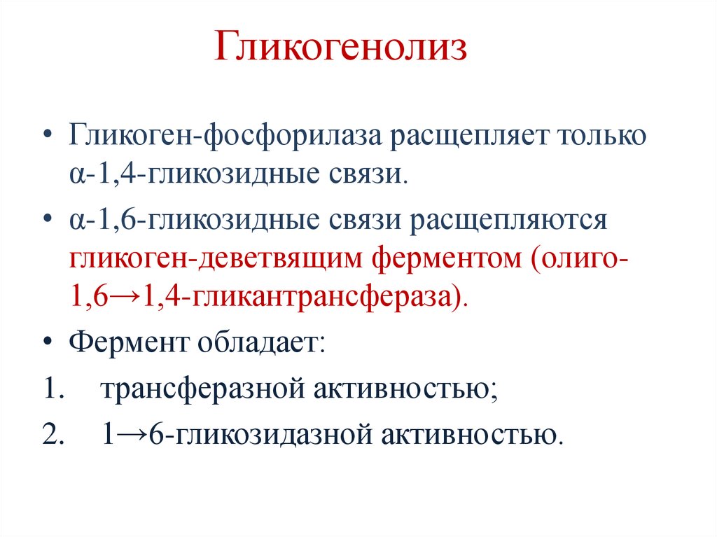 Гликогенолиз (мобилизация гликогена)