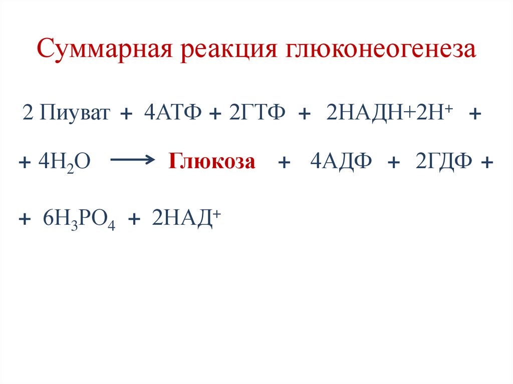 Обмен глюкозы