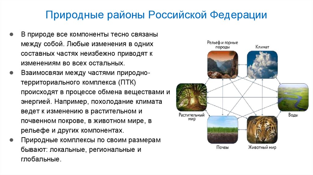 Природные районы Российской Федерации