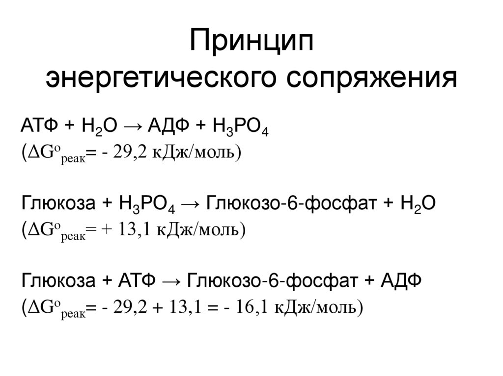Принцип энергетического сопряжения