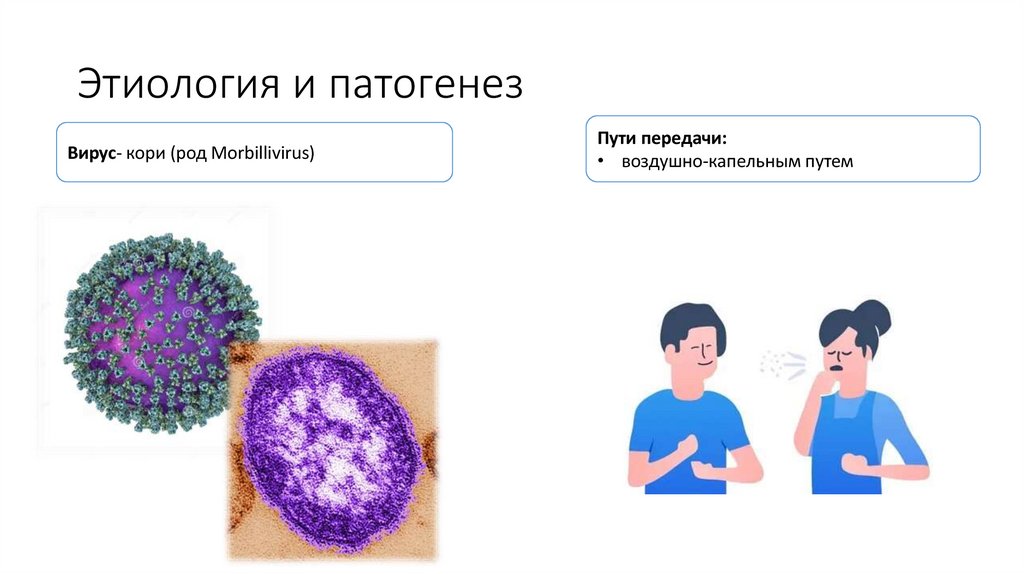 Этиология и патогенез