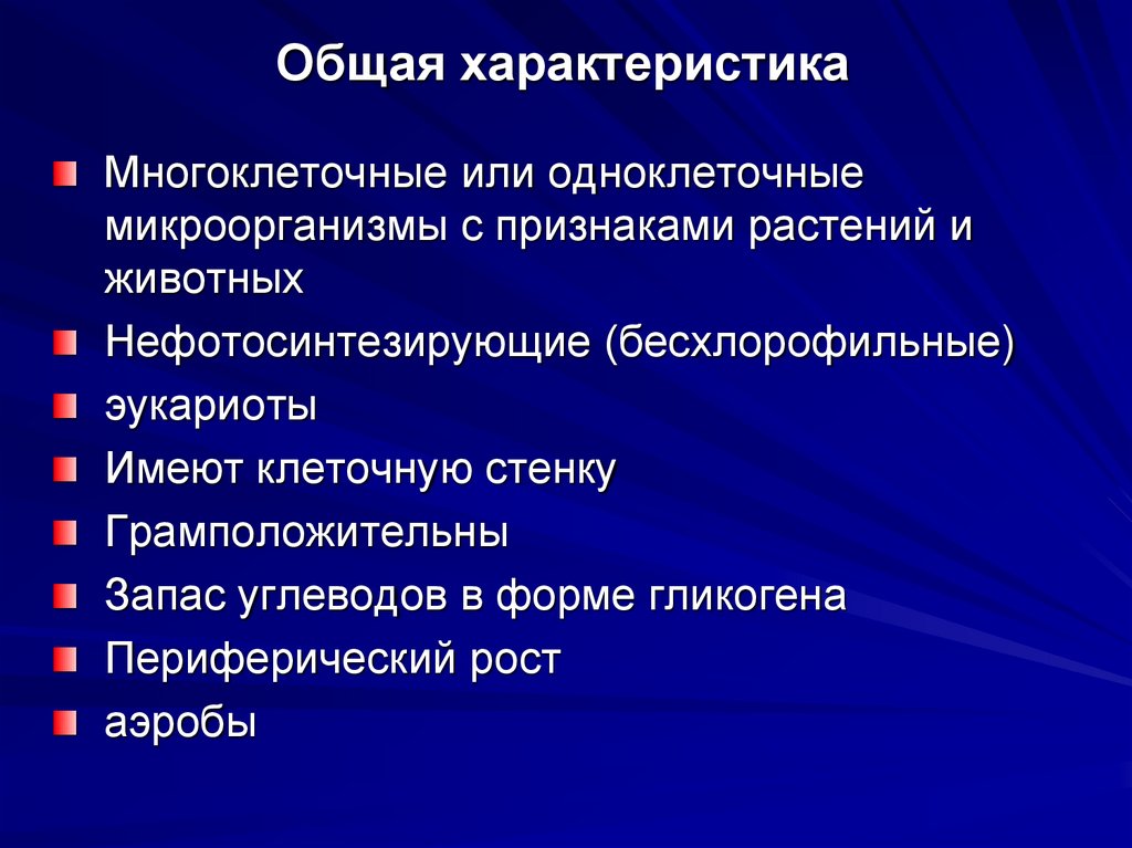 Общая характеристика