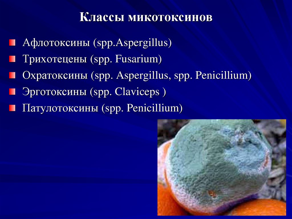 Классы микотоксинов