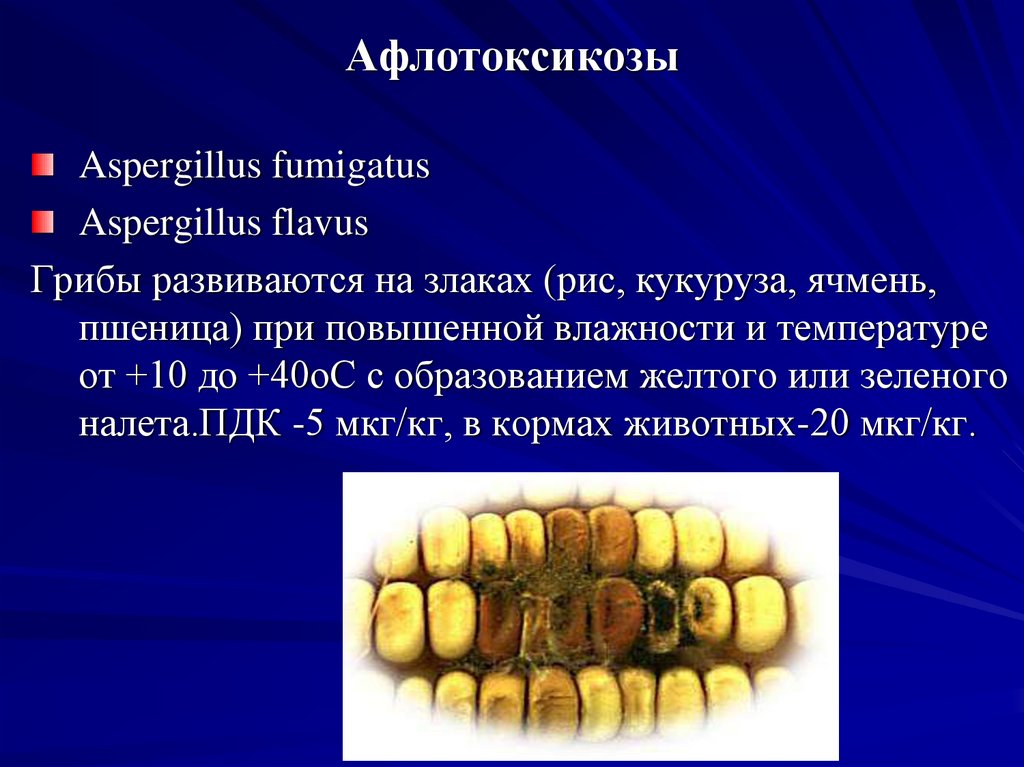 Афлотоксикозы