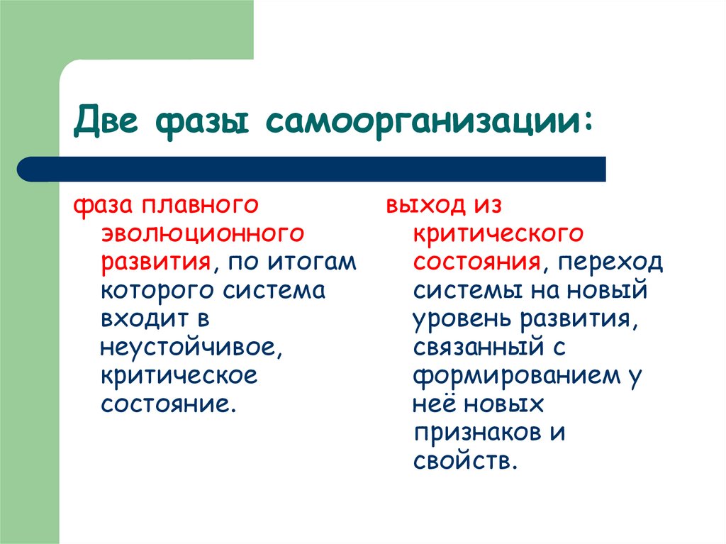 Две фазы самоорганизации: