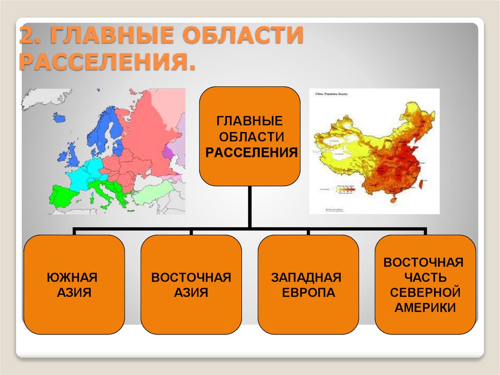 2. ГЛАВНЫЕ ОБЛАСТИ РАССЕЛЕНИЯ.