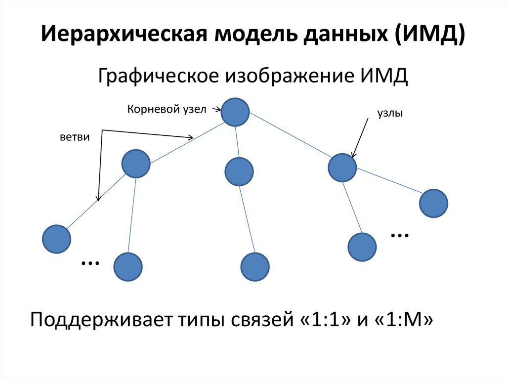Иерархическая модель данных (ИМД)