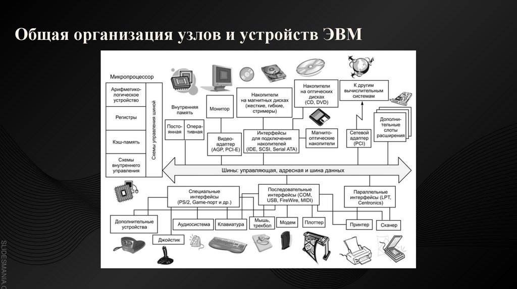 Общая организация узлов и устройств ЭВМ