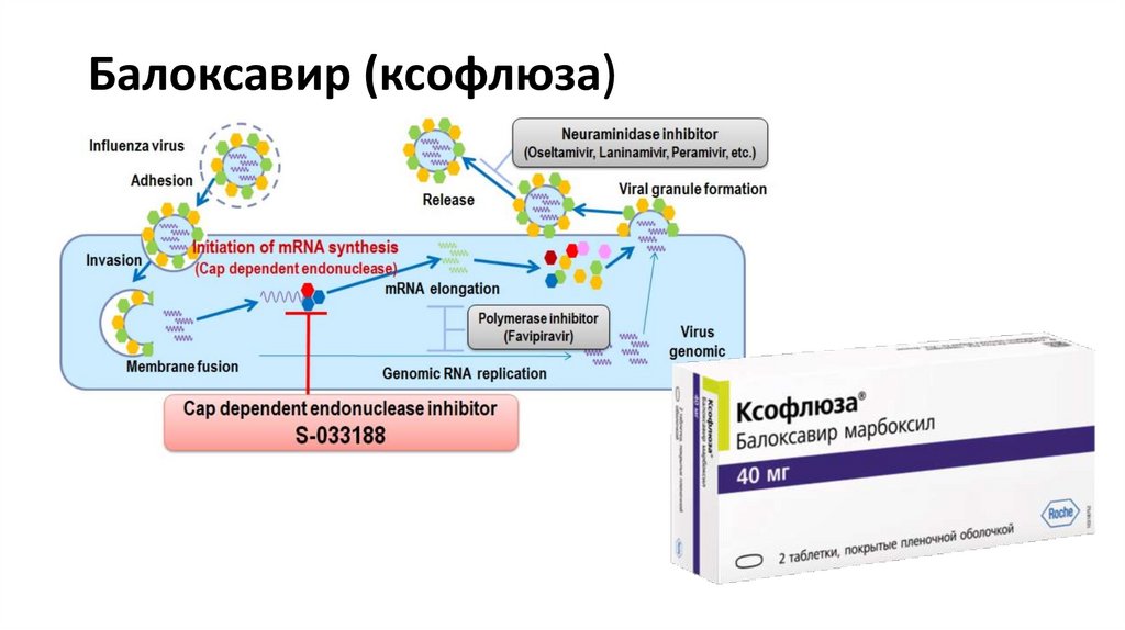 Балоксавир (ксофлюза)