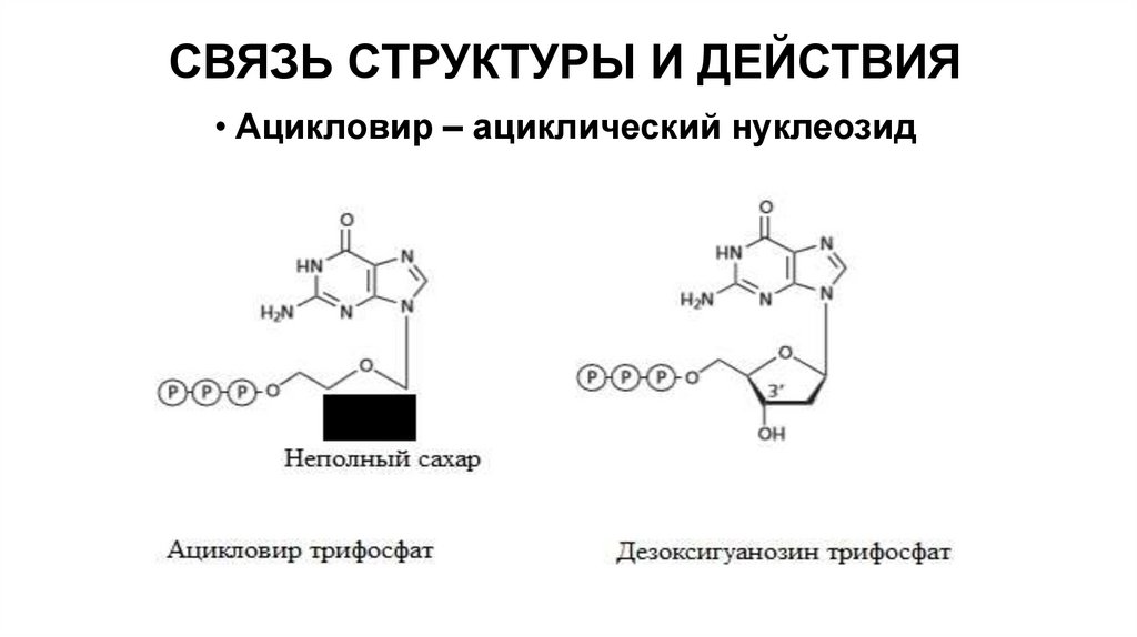 СВЯЗЬ СТРУКТУРЫ И ДЕЙСТВИЯ